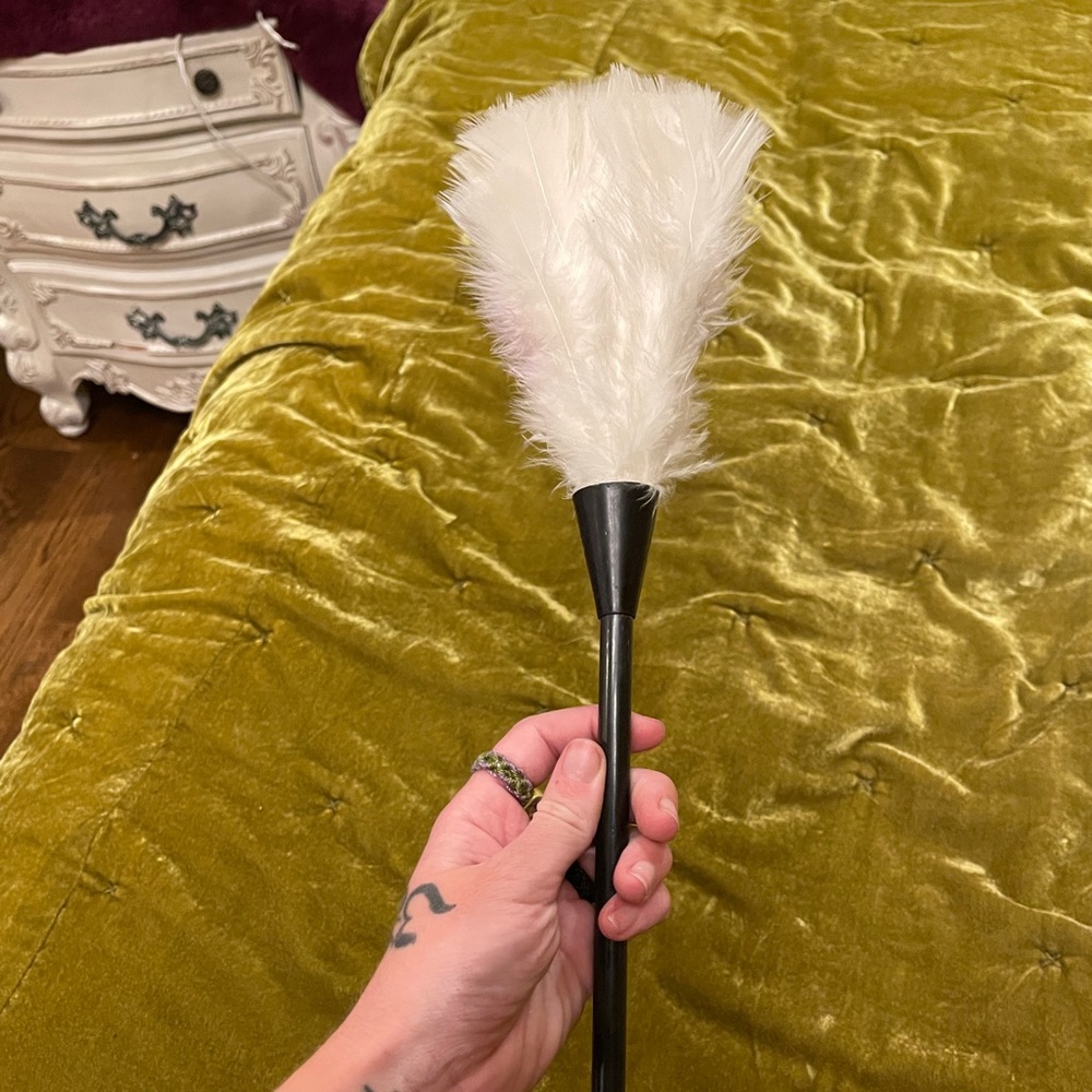 Feather Duster for Play
